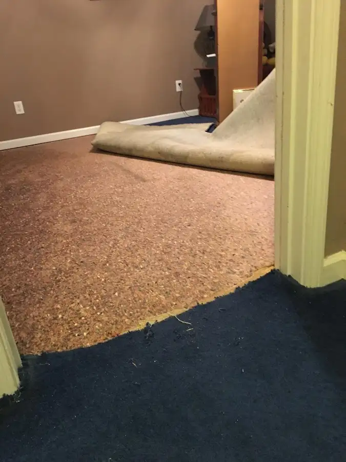 Carpet pad removal revealing water damage during Drying & Dehumidification in Melissa