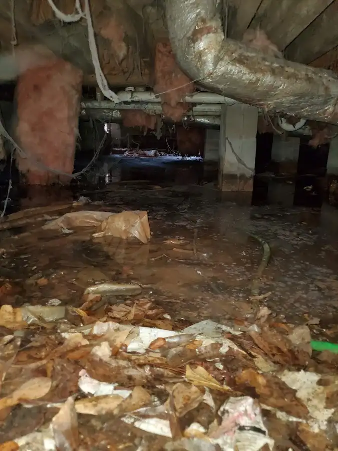 Crawl space flood assessment for Leak Detection & Repair in Melissa